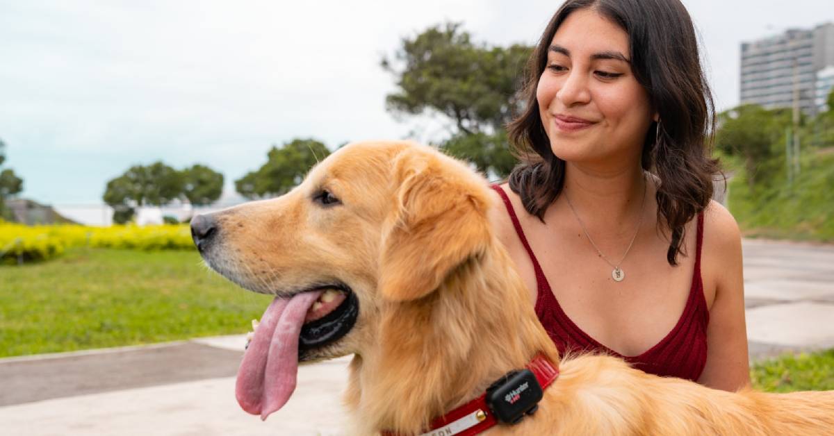Mercado Pet Tech sigue creciendo en Perú: Hunter lanza ecosistema que combina GPS, salud preventiva y asistencia veterinaria para mascotas